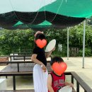 거제남서로 이미지