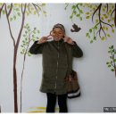 창조자연사박물관 이미지