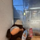 연미정 | 연남동 맛집 &lt;연미정 연어 연남본점&gt; 후기