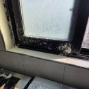 전주우리들병원 이미지