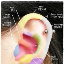 귀뚫는 위치 추천좀 ! 이미지