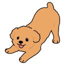 애견미용실 이미지