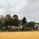 다시초등학교 이미지