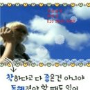 대한노인회 이미지