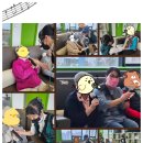 에버그린 데이케어센터 | 일산데이케어센터 부모님을 위한 안심 돌봄, 나들이데이케어주간보호센터 후기