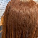 (주)보미쌤 이미지