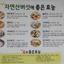 코끼리식당 이미지