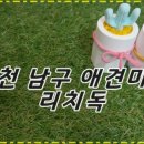 제물포애견 이미지