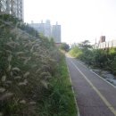 서예교실(초급반) 이미지