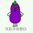 가지가지 네이버블로그