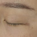 👀속눈썹 연장에 진심인 사람이 남기는 솔직 후기 - 유지력 좋은 다산 꼬부랑 왁싱 속눈썹