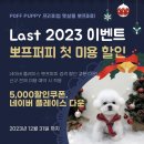 뽀프퍼피(POFF PUPPY) 이미지
