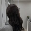 미용실 밤