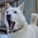 이쁜것들 이미지