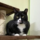 첨단도서관 이미지