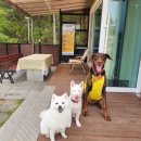 미스터로빈 이미지