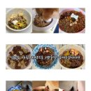 다다코리아 장기점 | [강아지 관절 영양제] 안티놀 래피드 급여 후기