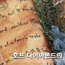 귀족호프