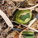 엘파로 펜션 이미지