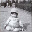 개 최고 Daum카페