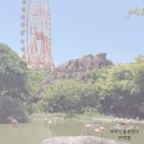 나트랑 빈원더스 동물원 버드쇼 타타쇼 아기랑갈만한곳
