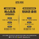 스포독 이미지