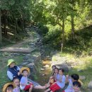 해바라기자연유치원 이미지