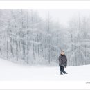 성철목장 이미지