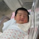 와줘서고마워 대구일보
