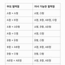 혈액형의 결정과정 이미지