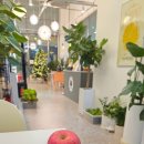 대덕농장 이미지