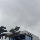 윤슬 | 태안베이커리카페 오션뷰 '윤슬 카페' 후기
