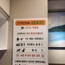 나우커피통영도남점 이미지