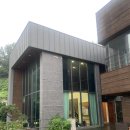 디나우스 이미지