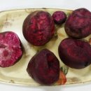 삼송농장 이미지