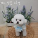 애니살롱 1호점 이미지