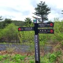 노구사당화장실 이미지