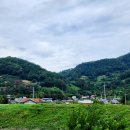 모정 배수장 Daum카페
