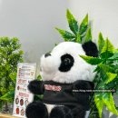 중경마라샤브샤브 | 서현 훠궈 무한리필 뷔페 중경식객 서현점, 서현역 샤브샤브 맛집 솔직후기