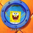 (재)우체국물류지원단 | 우체국 물류지원단 알바 후기와 쿠팡과의 차이점