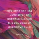 요한복음 16:25-33 '담대하라 내가 세상을 이기었노라' 이미지