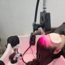 옥헤어살롱 네이버블로그