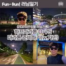 안양천 다목적광장 | [6월 러닝일기] 가민과 챗GPT로 하프마라톤 준비하기 D-75(도림천&amp;안양천 루틴)