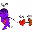 마라셀메가100