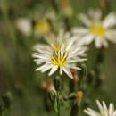 밀양댐생태공원 이미지