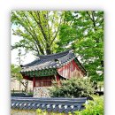 하연 선생 묘 | 2026년 민족문화유산을 찾아서 - 경기도 시흥 소산 서원