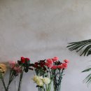 스튜디오봄울 이미지