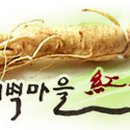 홍삼마을 - 북구 | 홍삼마을