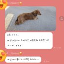 도비농장 이미지