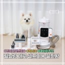 [일원1] 반려견 셀프 미용 | 강아지 셀프미용 끝판왕 | 바비온 올마스터 진공 이발기